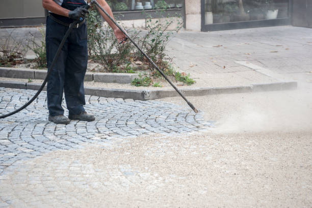 Best Animal Enclosure Cleaning  in Margate City, NJ